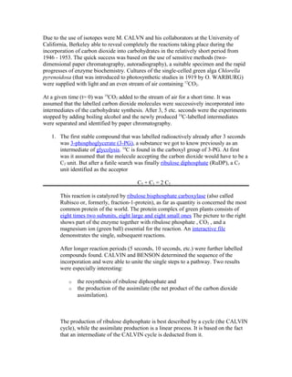 Due to the use of isotopes were M. CALVN and his collaborators at the University of
California, Berkeley able to reveal completely the reactions taking place during the
incorporation of carbon dioxide into carbohydrates in the relatively short period from
1946 - 1953. The quick success was based on the use of sensitive methods (two-
dimensional paper chromatography, autoradiography), a suitable specimen and the rapid
progresses of enzyme biochemistry. Cultures of the single-celled green alga Chlorella
pyrenoidosa (that was introduced to photosynthetic studies in 1919 by O. WARBURG)
were supplied with light and an even stream of air containing 12
CO2.
At a given time (t= 0) was 14
CO2 added to the stream of air for a short time. It was
assumed that the labelled carbon dioxide molecules were successively incorporated into
intermediates of the carbohydrate synthesis. After 3, 5 etc. seconds were the experiments
stopped by adding boiling alcohol and the newly produced 14
C-labelled intermediates
were separated and identified by paper chromatography.
1. The first stable compound that was labelled radioactively already after 3 seconds
was 3-phosphoglycerate (3-PG), a substance we got to know previously as an
intermediate of glycolysis. 14
C is found in the carboxyl group of 3-PG. At first
was it assumed that the molecule accepting the carbon dioxide would have to be a
C2 unit. But after a futile search was finally ribulose diphosphate (RuDP), a C5
unit identified as the acceptor
C5 + C1 = 2 C3
This reaction is catalyzed by ribulose bisphosphate carboxylase (also called
Rubisco or, formerly, fraction-1-protein), as far as quantity is concerned the most
common protein of the world. The protein complex of green plants consists of
eight times two subunits, eight large and eight small ones The picture to the right
shows part of the enzyme together with ribulose phosphate , CO2 , and a
magnesium ion (green ball) essential for the reaction. An interactive file
demonstrates the single, subsequent reactions.
After longer reaction periods (5 seconds, 10 seconds, etc.) were further labelled
compounds found. CALVIN and BENSON determined the sequence of the
incorporation and were able to unite the single steps to a pathway. Two results
were especially interesting:
o the resynthesis of ribulose diphosphate and
o the production of the assimilate (the net product of the carbon dioxide
assimilation).
The production of ribulose diphosphate is best described by a cycle (the CALVIN
cycle), while the assimilate production is a linear process. It is based on the fact
that an intermediate of the CALVIN cycle is deducted from it.
 