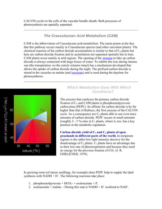 CALVIN cycle) in the cells of the vascular bundle sheath. Both processes of
photosynthesis are spatially separated.
The Crassulacean Acid Metabolism (CAM)
CAM is the abbreviation of Crassulacean acid metabolism. The name points at the fact
that this pathway occurs mainly in Crassulacean species (and other succulent plants). The
chemical reaction of the carbon dioxide accumulation is similar to that of C4 plants but
here are carbon dioxide fixation and its assimilation not separated spatially but in time.
CAM plants occur mainly in arid regions. The opening of the stomata to take up carbon
dioxide is always connected with large losses of water. To inhibit this loss during intense
sun (the transpiration via the cuticle remains intact) has a mechanism developed that
allows the uptake of carbon dioxide during the night. The prefixed carbon dioxide is
stored in the vacuoles as malate (and isocitrate) and is used during the daytime for
photosynthesis.
Which Metabolism Goes With Which
Conditions?
The enzyme that catalyzes the primary carbon dioxide
fixation of C4 and CAM plants is phosphoenolpyruvate
carboxylase (PEPC). Its affinity for carbon dioxide is by far
higher than that of Rubisco, the first enzyme of the CALVIN
cycle. As a consequence are C4 plants able to use even trace
amounts of carbon dioxide. PEPC occurs in small amounts
(roughly 2 - 3 %) also in C3 plants, where it, too, has a key
position in the metabolic regulation.
Carbon dioxide yield of C4 and C3 plants of open
grasslands in different parts of the world. In temperate
regions is the rather low light intensity decisive for the
disadvantage of C4 plants. C3 plants have an advantage due
to their low rate of photorespiration and because they need
no energy for the previous fixation of CO2. (J. R.
EHRLICHER, 1978).
In growing roots (of maize seedlings, for example) does PEPC help to supply the lipid
synthesis with NADH + H+
. The following reactions take place:
1. phosphoenolpyruvate + HCO3- > oxaloacetate + Pi
2. oxaloacetate > malate. - During this step is NADH + H+
oxidized to NAD+
.
 