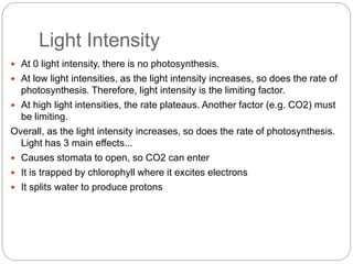 Light Intensity 
 At 0 light intensity, there is no photosynthesis. 
 At low light intensities, as the light intensity increases, so does the rate of 
photosynthesis. Therefore, light intensity is the limiting factor. 
 At high light intensities, the rate plateaus. Another factor (e.g. CO2) must 
be limiting. 
Overall, as the light intensity increases, so does the rate of photosynthesis. 
Light has 3 main effects... 
 Causes stomata to open, so CO2 can enter 
 It is trapped by chlorophyll where it excites electrons 
 It splits water to produce protons 
 