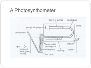 A Photosynthometer 
 
