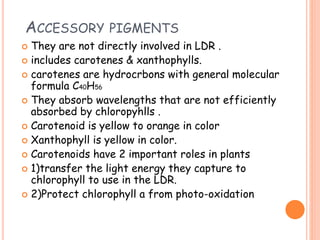 ACCESSORY PIGMENTS
 They are not directly involved in LDR .
 includes carotenes & xanthophylls.
 carotenes are hydrocrbons with general molecular
formula C40H56
 They absorb wavelengths that are not efficiently
absorbed by chloropyhlls .
 Carotenoid is yellow to orange in color
 Xanthophyll is yellow in color.
 Carotenoids have 2 important roles in plants
 1)transfer the light energy they capture to
chlorophyll to use in the LDR.
 2)Protect chlorophyll a from photo-oxidation
 