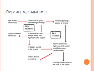 OVER ALL MECHANISM :
 