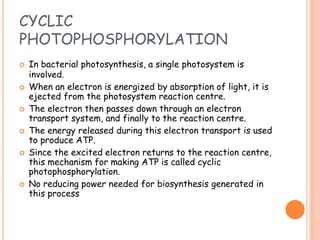 CYCLIC
PHOTOPHOSPHORYLATION
 In bacterial photosynthesis, a single photosystem is
involved.
 When an electron is energized by absorption of light, it is
ejected from the photosystem reaction centre.
 The electron then passes down through an electron
transport system, and finally to the reaction centre.
 The energy released during this electron transport is used
to produce ATP.
 Since the excited electron returns to the reaction centre,
this mechanism for making ATP is called cyclic
photophosphorylation.
 No reducing power needed for biosynthesis generated in
this process
 
