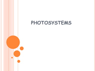 PHOTOSYSTEMS
 