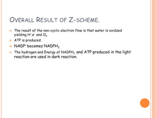 OVERALL RESULT OF Z-SCHEME.
 The result of the non-cyclic electron flow is that water is oxidzed
yielding H+,e- and O2.
 ATP is produced.
 NADP+ becomes NADPH2.
 The hydrogen and Energy of NADPH2 and ATP produced in the light
reaction are used in dark reaction.
 