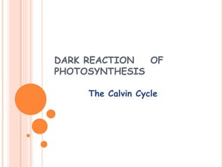 DARK REACTION OF
PHOTOSYNTHESIS
The Calvin Cycle
 