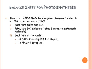 BALANCE SHEET FOR PHOTOSYNTHESIS
 How much ATP & NADH are required to make 1 molecule
of PGA from carbon dioxide?
 Each turn fixes one CO2
 PGAL is a 3-C molecule (takes 3 turns to make each
molecule)
 Each turn of the cycle:
 3 ATP ( 2 in step 2 & 1 in step 3)
 2 NADPH (step 3)
 