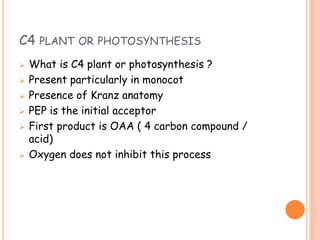 C4 PLANT OR PHOTOSYNTHESIS
 What is C4 plant or photosynthesis ?
 Present particularly in monocot
 Presence of Kranz anatomy
 PEP is the initial acceptor
 First product is OAA ( 4 carbon compound /
acid)
 Oxygen does not inhibit this process
 