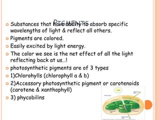 PIGMENTS Substances that have ability to absorb specific
wavelengths of light & reflect all others.
 Pigments are colored.
 Easily excited by light energy.
 The color we see is the net effect of all the light
reflecting back at us…!
 photosynthetic pigments are of 3 types
 1)Chlorohylls (chlorophyll a & b)
 2)Accessory photosynthetic pigment or carotenoids
(carotene & xanthophyll)
 3) phycobilins
 