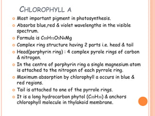 CHLOROPHYLL A
 Most important pigment in photosynthesis.
 Absorbs blue,red & violet wavelengths in the visible
spectrum.
 Formula is C55H72O5N4Mg
 Complex ring structure having 2 parts i.e. head & tail
 Head(porphyrin ring) : 4 complex pyrole rings of carbon
& nitrogen.
 In the centre of porphyrin ring a single magnesium atom
is attached to the nitrogen of each pyrrole ring.
 Maximum absorption by chlorophyll a occurs in blue &
red regions.
 Tail is attached to one of the pyrrole rings.
 It is a long hydrocarbon phytol (C20H39) & anchors
chlorophyll molecule in thylakoid membrane.
 