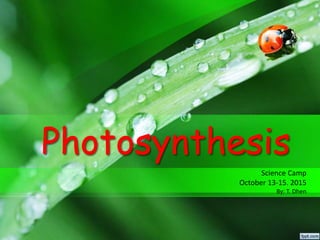 Photosynthesis
Science Camp
October 13-15. 2015
By: T. Dhen
 