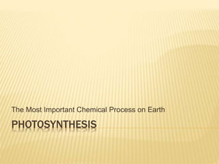 PHOTOSYNTHESIS
The Most Important Chemical Process on Earth
 