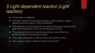 1) Light dependent reaction (Light
reaction)
 *It take place in thylakoid.
 *The light reaction include light absorption, water splitting, oxygen
release and the formation of ATP and NADPH.
 *The pigments are organized into two light harvesting complexes (LHC)
within the Photosystem I (PS I) and Photosystem II (PS II).
 *These pigments help to make photosynthesis more efficient by
absorbing different wavelengths of light.
 *The single chlorophyll a molecule forms the reaction centre.
 *The reaction centre is different in both PS I and PS II.
 