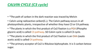 CALVIN CYCLE (C3 cycle)
• *The path of carbon in the dark reaction was traced by Melvin
• Calvin using radioactive carbon(C14). The Calvin pathway occurs in all
photosynthetic plants, irrespective of whether they have C3 or C4 pathway
• *The plants in which the first product of Co2 fixation is a PGA (Phospho
glyceric acid) is called C3 pathway. SO Calvin cycle is called C3 cycle.
• *The plants in which the first product of Co2 fixation is an OAA (oxalo
acetic acid) is called C4 pathway.
• *The primary acceptor of Co2 is Ribulose biphosphate. It is 5-carbon ketose
sugar.
 