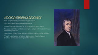 Photosynthesis:Discovery
*The Joseph Priestley discovered oxygen in 1774.
*He conducted a series of experiments that
revealed the essential role of air in the growth of green plants.
*He observed that a candle is burning in a bell jar with the death mouse
immediately went out.
*After he put a plant in the bell jar and found that the mouse still lived.
*Priestly hypothesized as follows: plants restore the air whatever
breathing animals and burning candles remove.
 