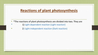 Reactions of plant photosynthesis
• *The reactions of plant photosynthesis are divided into two. They are
* 1) Light dependent reaction (Light reaction)
• 2) Light-independent reaction (Dark reaction)
 