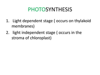 PHOTOSYNTHESIS
1. Light dependent stage ( occurs on thylakoid
membranes)
2. light independent stage ( occurs in the
stroma of chloroplast)
 