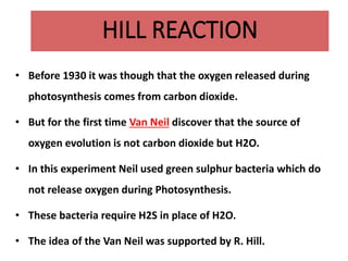 HILL REACTION
• Before 1930 it was though that the oxygen released during
photosynthesis comes from carbon dioxide.
• But for the first time Van Neil discover that the source of
oxygen evolution is not carbon dioxide but H2O.
• In this experiment Neil used green sulphur bacteria which do
not release oxygen during Photosynthesis.
• These bacteria require H2S in place of H2O.
• The idea of the Van Neil was supported by R. Hill.
 