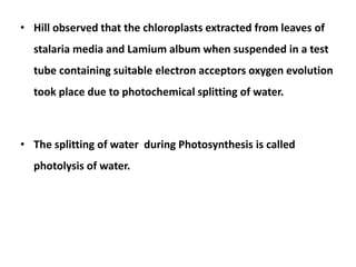 • Hill observed that the chloroplasts extracted from leaves of
stalaria media and Lamium album when suspended in a test
tube containing suitable electron acceptors oxygen evolution
took place due to photochemical splitting of water.
• The splitting of water during Photosynthesis is called
photolysis of water.
 