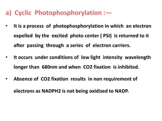 a) Cyclic Photophosphorylation :—
• It is a process of photophosphorylation in which an electron
expelled by the excited photo center ( PSI) is returned to it
after passing through a series of electron carriers.
• It occurs under conditions of low light intensity wavelength
longer than 680nm and when CO2 fixation is inhibited.
• Absence of CO2 fixation results in non requirement of
electrons as NADPH2 is not being oxidized to NADP.
 