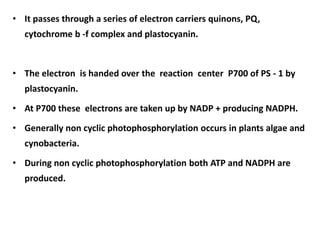 • It passes through a series of electron carriers quinons, PQ,
cytochrome b -f complex and plastocyanin.
• The electron is handed over the reaction center P700 of PS - 1 by
plastocyanin.
• At P700 these electrons are taken up by NADP + producing NADPH.
• Generally non cyclic photophosphorylation occurs in plants algae and
cynobacteria.
• During non cyclic photophosphorylation both ATP and NADPH are
produced.
 