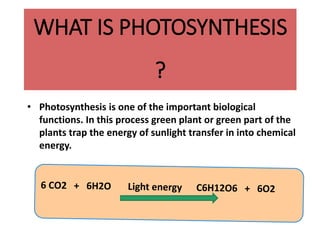WHAT IS PHOTOSYNTHESIS
?
• Photosynthesis is one of the important biological
functions. In this process green plant or green part of the
plants trap the energy of sunlight transfer in into chemical
energy.
 