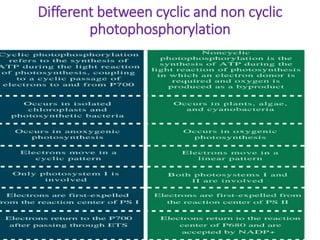 Different between cyclic and non cyclic
photophosphorylation
 