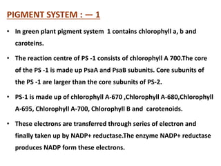 PIGMENT SYSTEM : — 1
• In green plant pigment system 1 contains chlorophyll a, b and
caroteins.
• The reaction centre of PS -1 consists of chlorophyll A 700.The core
of the PS -1 is made up PsaA and PsaB subunits. Core subunits of
the PS -1 are larger than the core subunits of PS-2.
• PS-1 is made up of chlorophyll A-670 ,Chlorophyll A-680,Chlorophyll
A-695, Chlorophyll A-700, Chlorophyll B and carotenoids.
• These electrons are transferred through series of electron and
finally taken up by NADP+ reductase.The enzyme NADP+ reductase
produces NADP form these electrons.
 