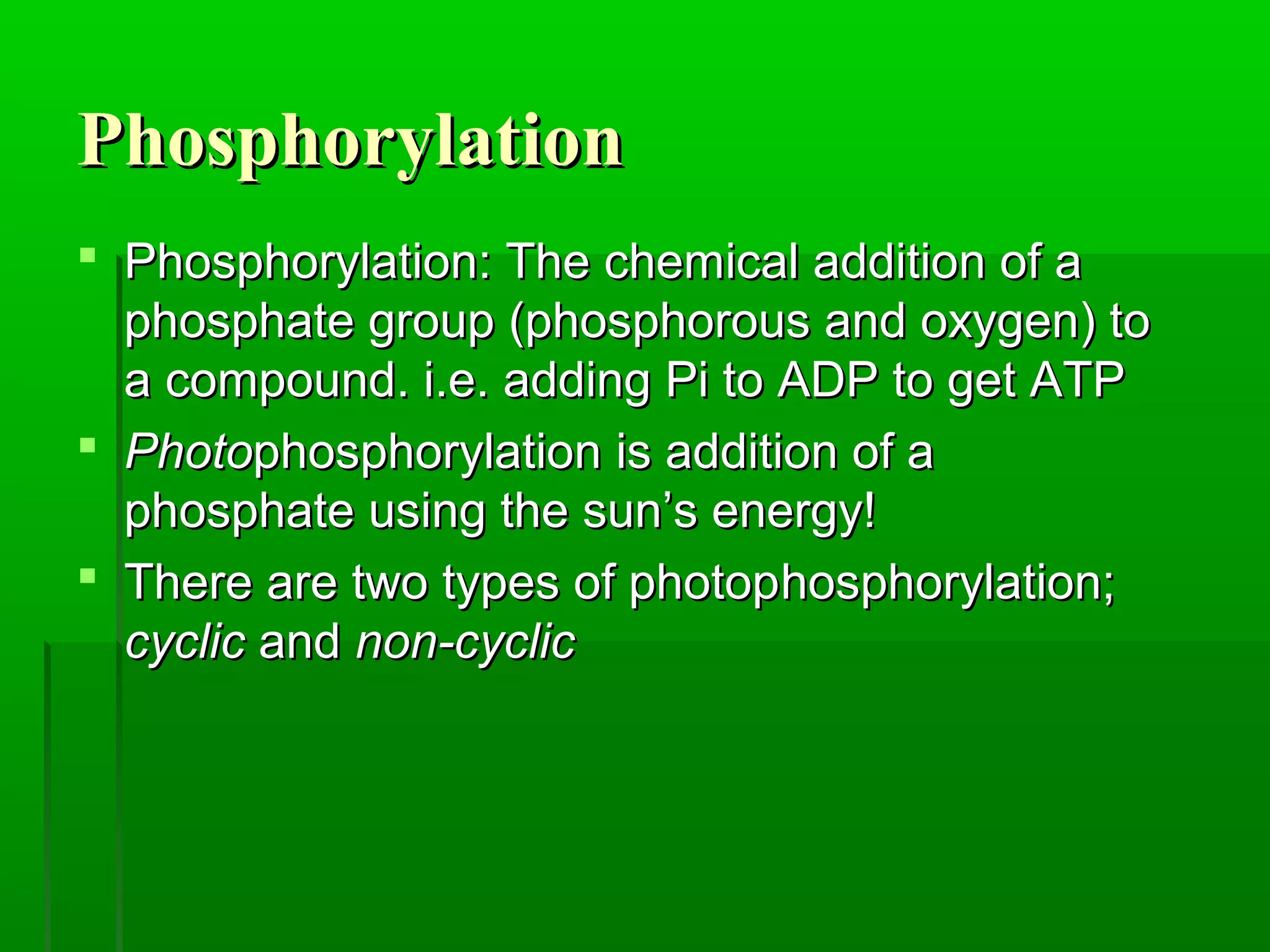 Photosynthesis-1- light reaction - photophosphorylation, | PPT