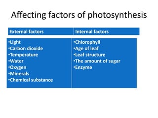 Affecting factors of photosynthesis
External factors Internal factors
•Light
•Carbon dioxide
•Temperature
•Water
•Oxygen
•Minerals
•Chemical substance
•Chlorophyll
•Age of leaf
•Leaf structure
•The amount of sugar
•Enzyme
 