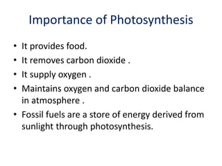 Importance of Photosynthesis
• It provides food.
• It removes carbon dioxide .
• It supply oxygen .
• Maintains oxygen and carbon dioxide balance
in atmosphere .
• Fossil fuels are a store of energy derived from
sunlight through photosynthesis.
 