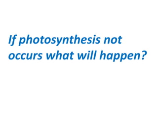 If photosynthesis not
occurs what will happen?
 
