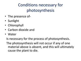 Conditions necessary for
photosynthesis
• The presence of-
• Sunlight
• Chlorophyll
• Carbon dioxide and
• Water
Is necessary for the process of photosynthesis.
The photosynthesis will not occur if any of one
material above is absent, and this will ultimately
cause the plant to die.
 
