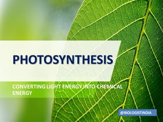 PHOTOSYNTHESIS
CONVERTINGLIGHT ENERGY INTO CHEMICAL
ENERGY
@BIOLOGISTINDIA
 