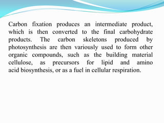 Carbon fixation produces an intermediate product,
which is then converted to the final carbohydrate
products. The carbon skeletons produced by
photosynthesis are then variously used to form other
organic compounds, such as the building material
cellulose, as precursors for lipid and amino
acid biosynthesis, or as a fuel in cellular respiration.
 