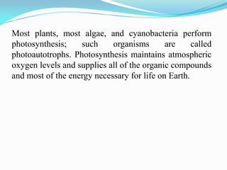 Most plants, most algae, and cyanobacteria perform
photosynthesis; such organisms are called
photoautotrophs. Photosynthesis maintains atmospheric
oxygen levels and supplies all of the organic compounds
and most of the energy necessary for life on Earth.
 