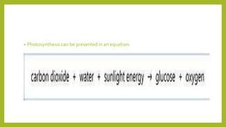 • Photosynthesis can be presented in an equation:
 