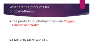 Photosynthesis | PPTX