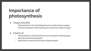 Importance of
photosynthesis
● Oxygen to breathe
○ Photosynthesis is the only biological process which releases oxygen
into the atmosphere. No living being can remain alive without oxygen
●
● Food for all
○ Photosynthesis is ultimately the source of energy for all living beings
○ Directly for plants (autotrophic)
○ Indirectly for animals who eat plants (heterotrophic)
 