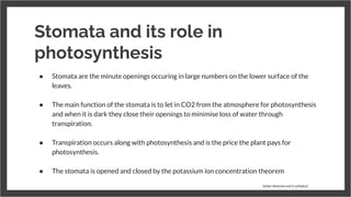 Stomata and its role in
photosynthesis
● Stomata are the minute openings occuring in large numbers on the lower surface of the
leaves.
●
● The main function of the stomata is to let in CO2 from the atmosphere for photosynthesis
and when it is dark they close their openings to minimise loss of water through
transpiration.
●
● Transpiration occurs along with photosynthesis and is the price the plant pays for
photosynthesis.
●
● The stomata is opened and closed by the potassium ion concentration theorem
(other theorem not in syllabus)
 