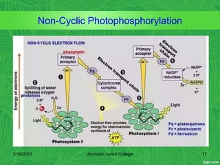 Non-Cyclic Photophosphorylation
5/19/2021 Arunodoi Junior College 17
 