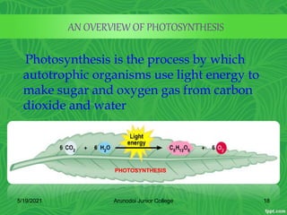 Photosynthesis is the process by which
autotrophic organisms use light energy to
make sugar and oxygen gas from carbon
dioxide and water
AN OVERVIEW OF PHOTOSYNTHESIS
PHOTOSYNTHESIS
5/19/2021 18
Arunodoi Junior College
 