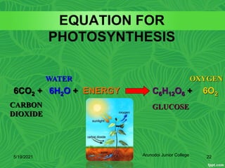 EQUATION FOR
PHOTOSYNTHESIS
6CO2 + 6H2O + ENERGY C6H12O6 + 6O2
CARBON
DIOXIDE
WATER
GLUCOSE
OXYGEN
5/19/2021 22
Arunodoi Junior College
 