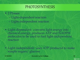 PHOTOSYNTHESIS
• 2 Phases
– Light-dependent reaction
– Light-independent reaction
• Light-dependent: converts light energy into
chemical energy; produces ATP and NADPH
molecules to be used to fuel light-independent
reaction
• Light-independent: uses ATP produced to make
simple sugars/ glucose
5/19/2021 25
Arunodoi Junior College
 