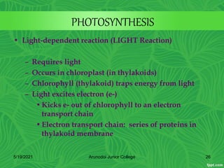 PHOTOSYNTHESIS
• Light-dependent reaction (LIGHT Reaction)
– Requires light
– Occurs in chloroplast (in thylakoids)
– Chlorophyll (thylakoid) traps energy from light
– Light excites electron (e-)
•Kicks e- out of chlorophyll to an electron
transport chain
•Electron transport chain: series of proteins in
thylakoid membrane
5/19/2021 26
Arunodoi Junior College
 