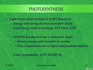 PHOTOSYNTHESIS
• Light-dependent reaction (LIGHT Reaction)
– Energy lost along electron transport chain
– Lost energy used to recharge ATP from ADP
– NADPH produced from e- transport chain
•Stores energy until transfer to stroma
•Plays important role in light-independent reaction
– Total byproducts: ATP, NADP, O2
5/19/2021 27
Arunodoi Junior College
 
