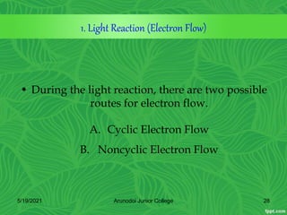 1. Light Reaction (Electron Flow)
• During the light reaction, there are two possible
routes for electron flow.
A. Cyclic Electron Flow
B. Noncyclic Electron Flow
5/19/2021 28
Arunodoi Junior College
 