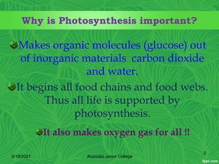Why is Photosynthesis important?
Makes organic molecules (glucose) out
of inorganic materials carbon dioxide
and water.
It begins all food chains and food webs.
Thus all life is supported by
photosynthesis.
5/19/2021
3
Arunodoi Junior College
It also makes oxygen gas for all !!
 