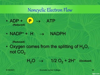 Noncyclic Electron Flow
• ADP +  ATP
• NADP+ + H  NADPH
• Oxygen comes from the splitting of H2O,
not CO2
H2O  1/2 O2 + 2H+
(Reduced)
P
(Reduced)
(Oxidized)
5/19/2021 34
Arunodoi Junior College
 