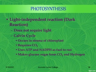 PHOTOSYNTHESIS
• Light-independent reaction (Dark
Reaction)
– Does not require light
– Calvin Cycle
•Occurs in stroma of chloroplast
•Requires CO2
•Uses ATP and NADPH as fuel to run
•Makes glucose sugar from CO2 and Hydrogen
5/19/2021 38
Arunodoi Junior College
 